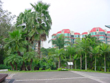 棕櫚園