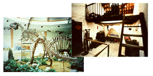 Graphic: Heritage and Musuems