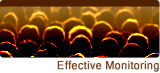 Graphic: Effective Monitoring