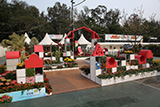 Architectural Services Department Landscape Display - The Garden of Joy and Excitement