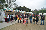 Green Promotional Game Stalls