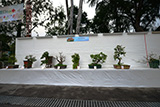 Association of Horticulture Lantau Island
