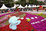 Qingdao Shiyuan (Group) Co. Ltd. Landscape Display - The Colourful Floral World of the Qingdao Horticultural Expo