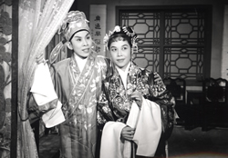 一年一度燕归来