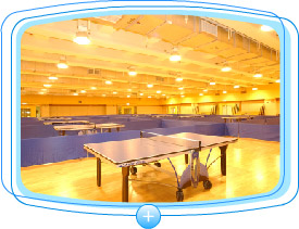 The new Luen Wo Hui Sports Centre provides a variety of facilities to the public.