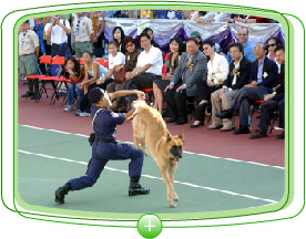 「 寵 物 嘉 年 華 ── 狗 狗 樂 繽 紛 」 的 警 犬 表 演 。