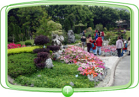 Winning entry of Tuen Mun Park, Grand Award of the Outstanding Greening Project Award.