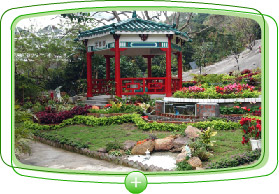 Winning entry of Confucius Hall Middle School, Champion of the Large Garden Plot Display Section (Secondary School Category) of the Green School Project Scheme.