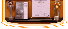 多 媒 體 資 訊 系 統 榮 獲 多 個 獎 項，包 括「 2002 年 亞 太 區 資 訊 及 通 訊 科 技 大 獎 」中 的 「 政 府 電 子 化 服 務 獎」 。