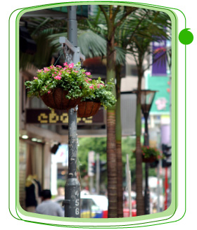 Flower baskets on lamp posts in Causeway Bay add colour and cheer to the busy city.