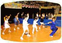 Wushu Demonstration ¡X Support Wushu's entry into the Olympic Games