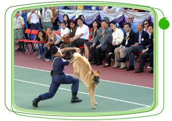 「 寵 物 嘉 年 華 ── 狗 狗 樂 繽 紛 」 的 警 犬 表 演 。
