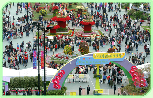 Over 550,000 people visit the 2003 Hong Kong Flower Show. The theme flower of the show is phalaenopsis.