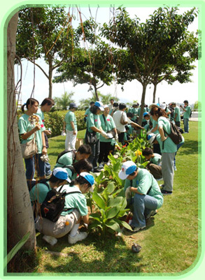 綠化義工協助美化大埔海濱公園。 