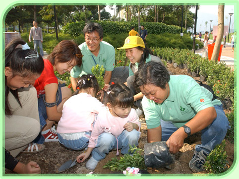 小朋友参加由绿化义工筹办的「马鞍山公园亲子种植日」，学习种植技巧。