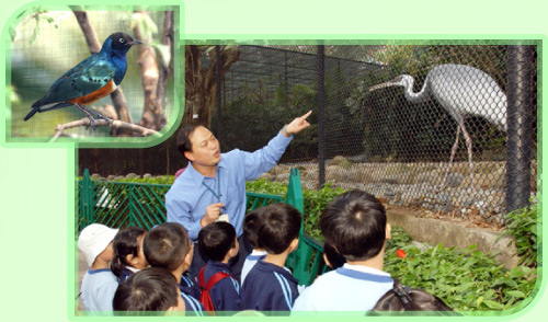小学生对在动植物公园举行的动物园教育活动甚感兴趣。