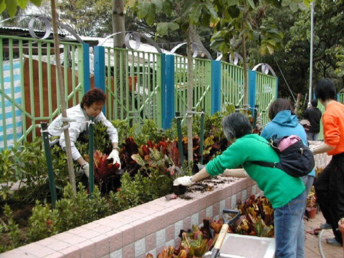 Volunteers playing their part in keeping Hong Kong green.