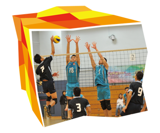 Players compete vigorously in a volleyball tournament at the  Corporate Games, a major multi-sport event for staff of private and public sector organisations.