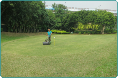 屯門高爾夫球中心以合約方式外判園藝護養服務。