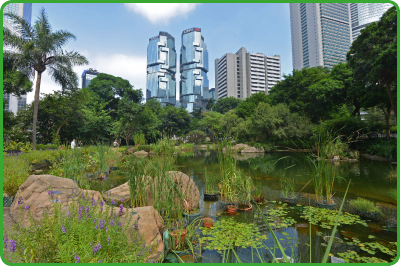 Hong Kong Park is a popular leisure spot for both tourists and those working in the business district of Central. 