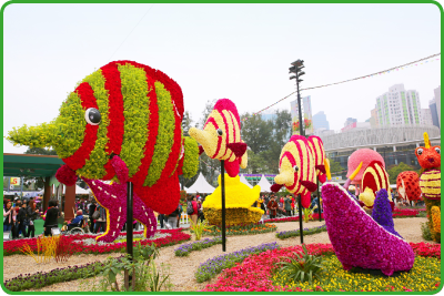 One of the main attractions of the Hong Kong Flower Show 2014 was a mosaiculture display entitled ‘My Home Among the Corals’, depicting marine creatures of the coral reefs.