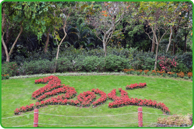 A landscaped area created with flowers beautifies the meadow at Tai Po Waterfront Park.