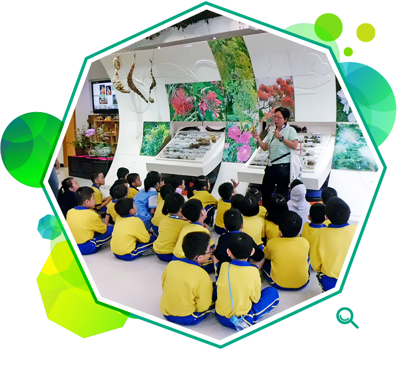 學生參觀設於九龍公園的綠化教育資源中心，學習關於綠化與環保的知識。