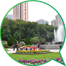 Different species of trees thrive in Hong Kong Zoological and Botanical Gardens.