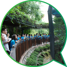 Girl guides on a conservation course designed to enrich their knowledge of Kowloon Park's bird collections. 