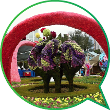 The Tree of Life display at the Flower Show symbolised the perpetual cycle of blooming and fruition.