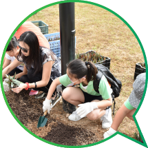 Students getting involved in Community Planting Day.