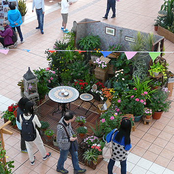 Horticulture Education Exhibition 2016 with the theme of “Air-purifying Plants”