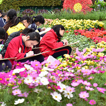 Hong Kong Flower Show 2017