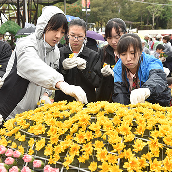 Hong Kong Flower Show 2017