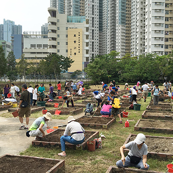 Community Garden Programme