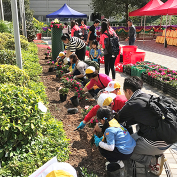 Community Planting Day