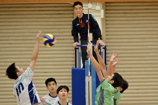 Volleyball Photo