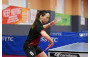 Table Tennis Photo