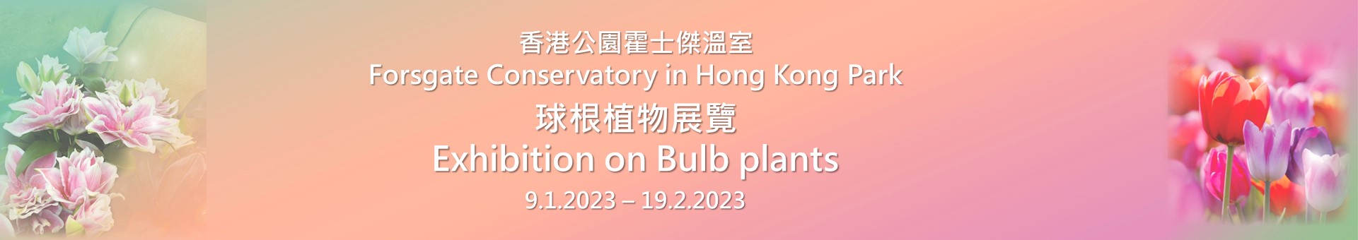 Exhibition on bulb plants at Hong Kong Park