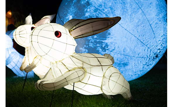 新界東中秋綵燈展 - 大白兔和小白兔