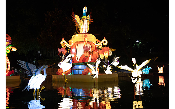 New Territories West Mid-Autumn Lantern Carnival Lantern Display - Festive Gathering under the Moon
