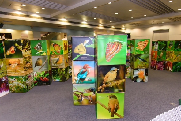开创绿家园 - 树鸟蝶之科学与艺术迷宫