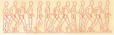 Rules of race walking