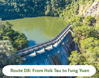 Route D8: From Hok Tau to Fung Yuen