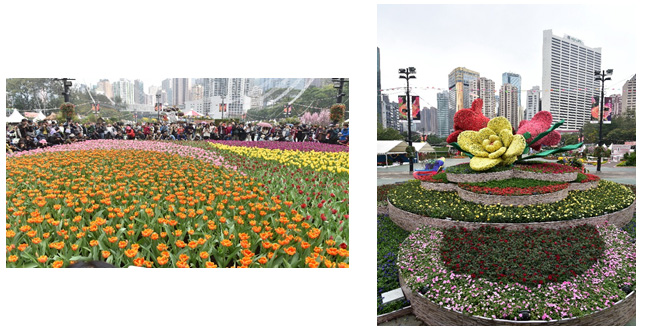 Hong Kong Flower Show Photo