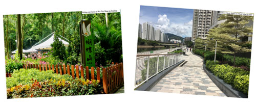 Beautification of Existing Landscape Areas Photo