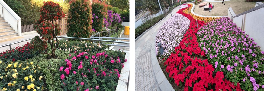 Beautification of Existing Landscape Areas