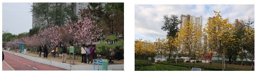 環境管理及工作表現圖片