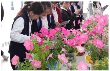 Environmental Management and Performance Image