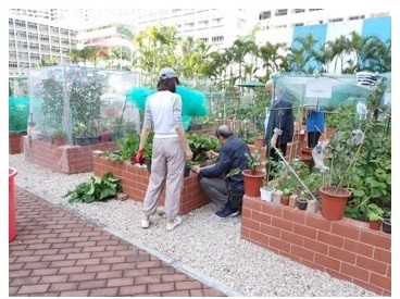 Environmental Management and Performance Image